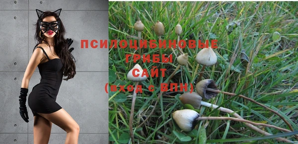 кокаин колумбия Белокуриха