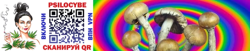 закладка  Волжский  omg зеркало  Псилоцибиновые грибы Magic Shrooms 